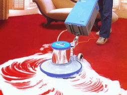 达州和祥家政 专业地毯清洗，打造洁净居家环境